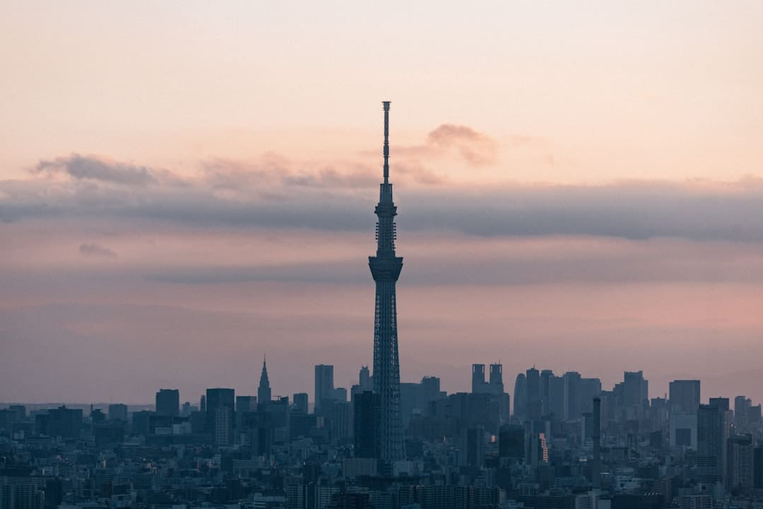 漳浦开渔 千帆竞发赴蓝海